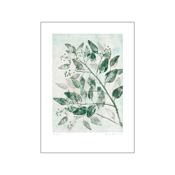 Kunstprint - Eucalyptus - Green - 50x70